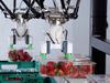Automation softens Brexit impact 2 thumbnail.jpg
