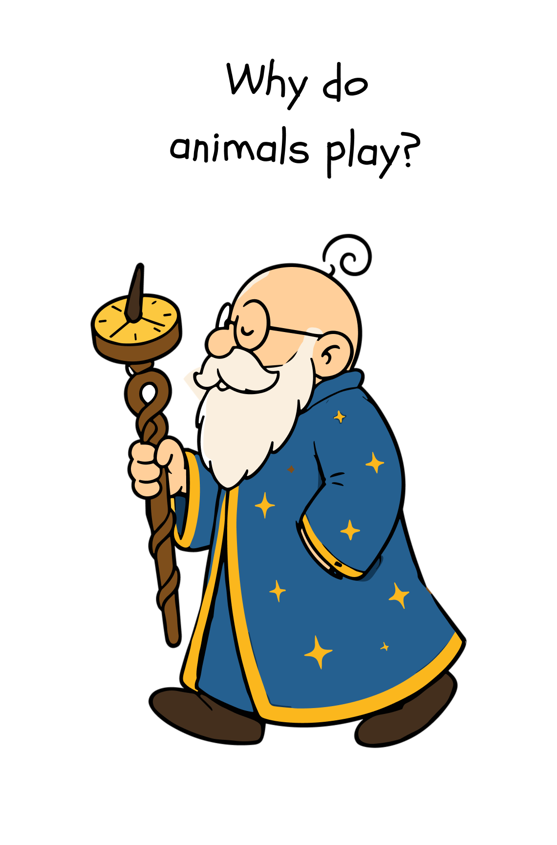 Why do animals play?