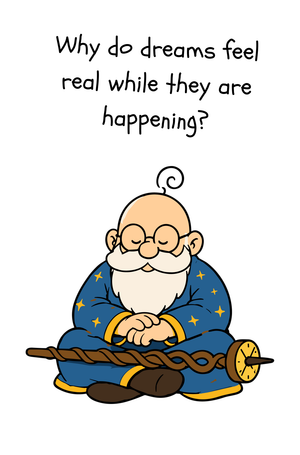 Why do dreams feel real while they are happening?