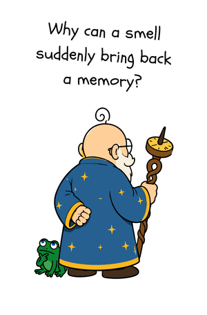 Why can a smell suddenly bring back a memory?