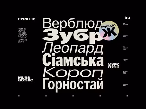 10 українських варіативних шрифтів Основне зображення