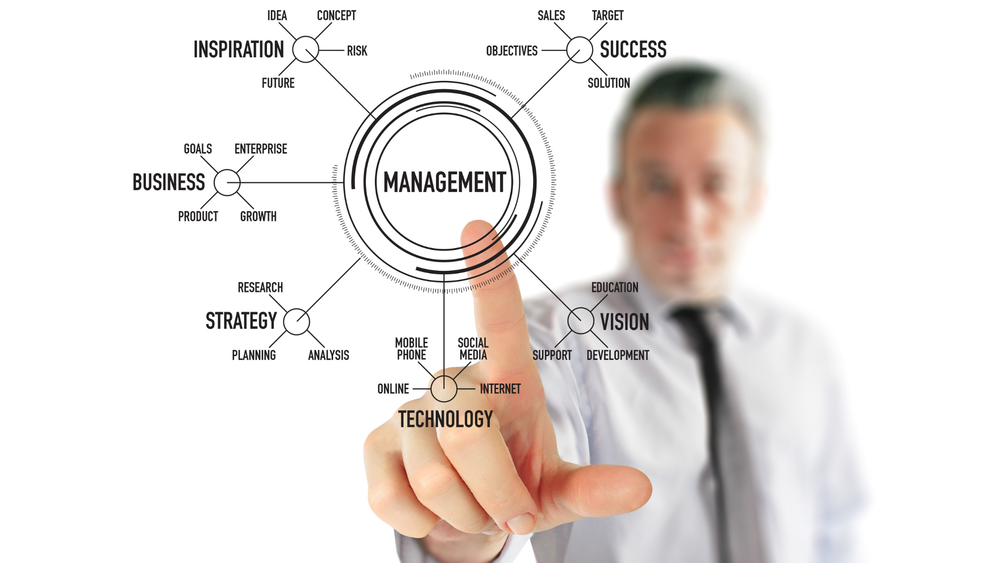 What is thinking in systems, and how can it help your organisation? post image