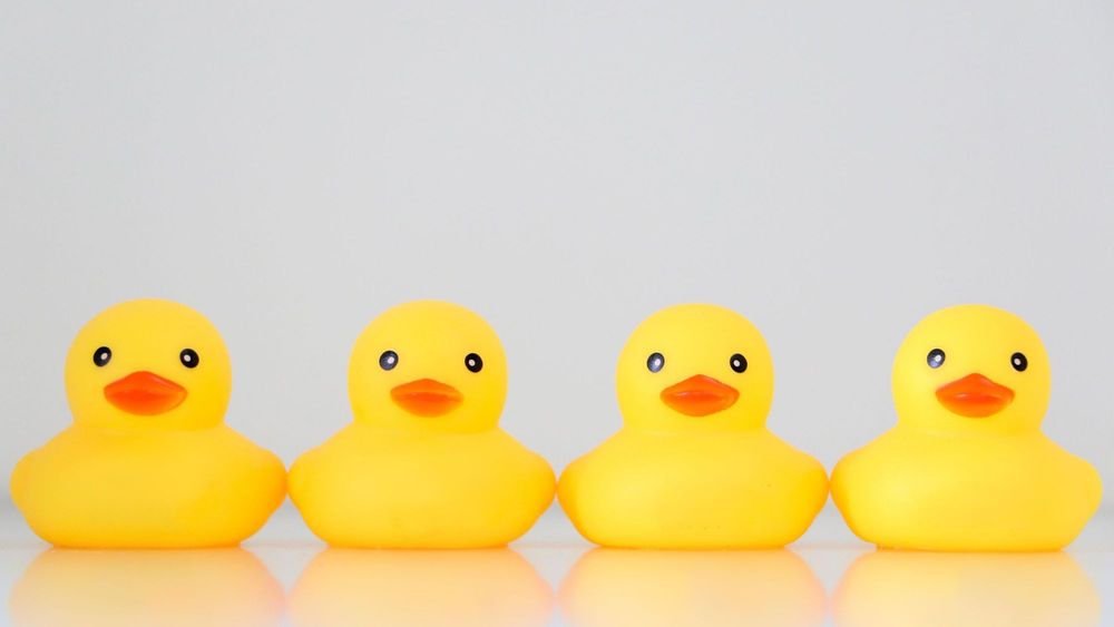 Why Do They Use The Phrase "Getting Your Ducks In A Row In The Workplace?" post image