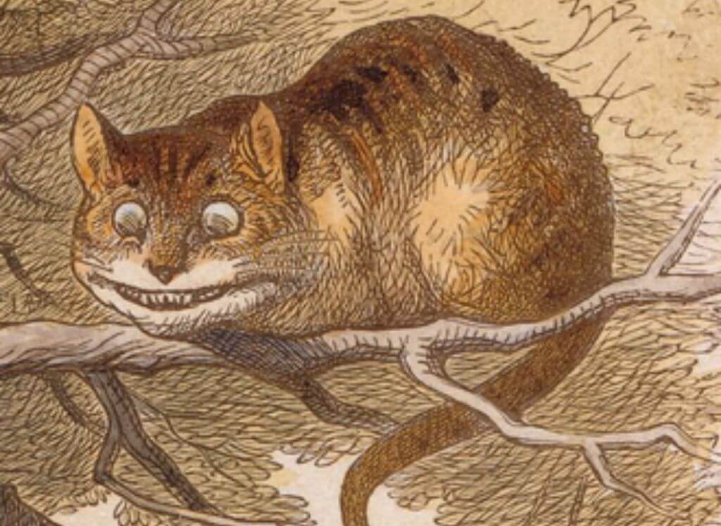Cheshire Cat Drawing