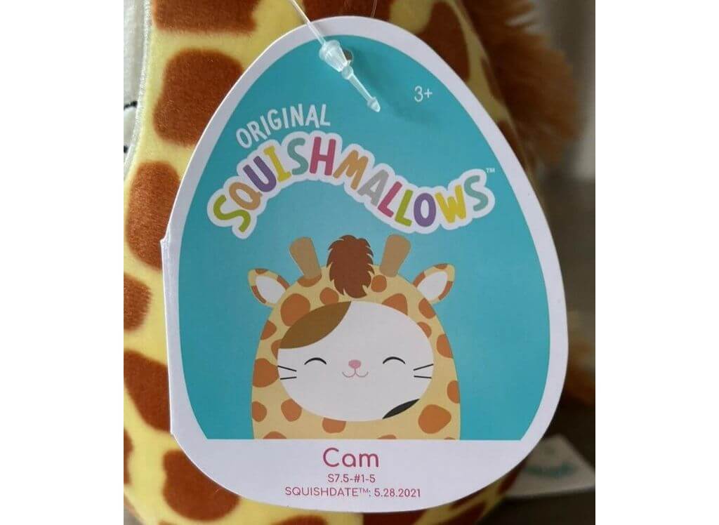 Cam in Giraffe Costume Tag