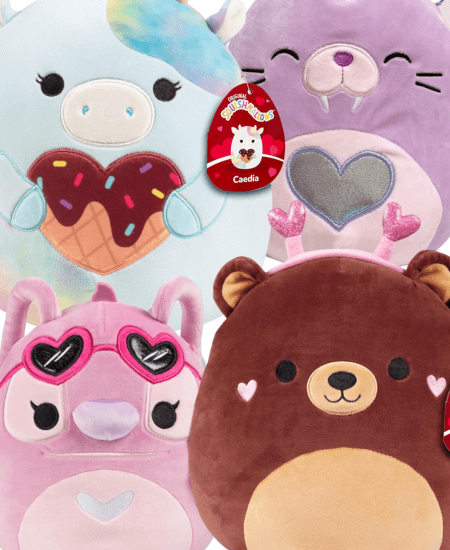 Four Squishmallows from the 2024 Valentine Squad