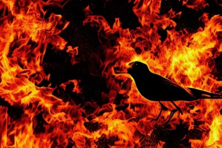 I Came In Like A Wrecking Ball