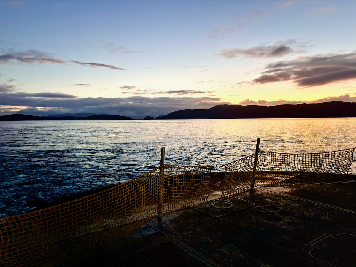 What Deserves My Attention Now