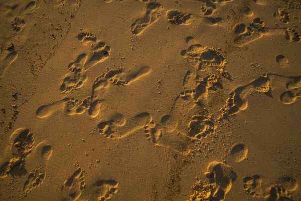 What You Leave Behind
