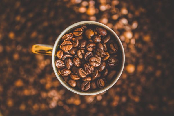 Espresso Shots 8-17-25