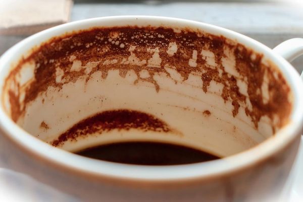 Espresso Shots 5-31-26