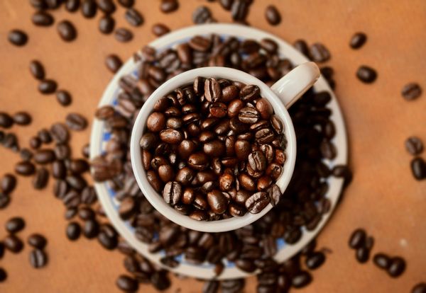 Espresso Shots 6-14-26