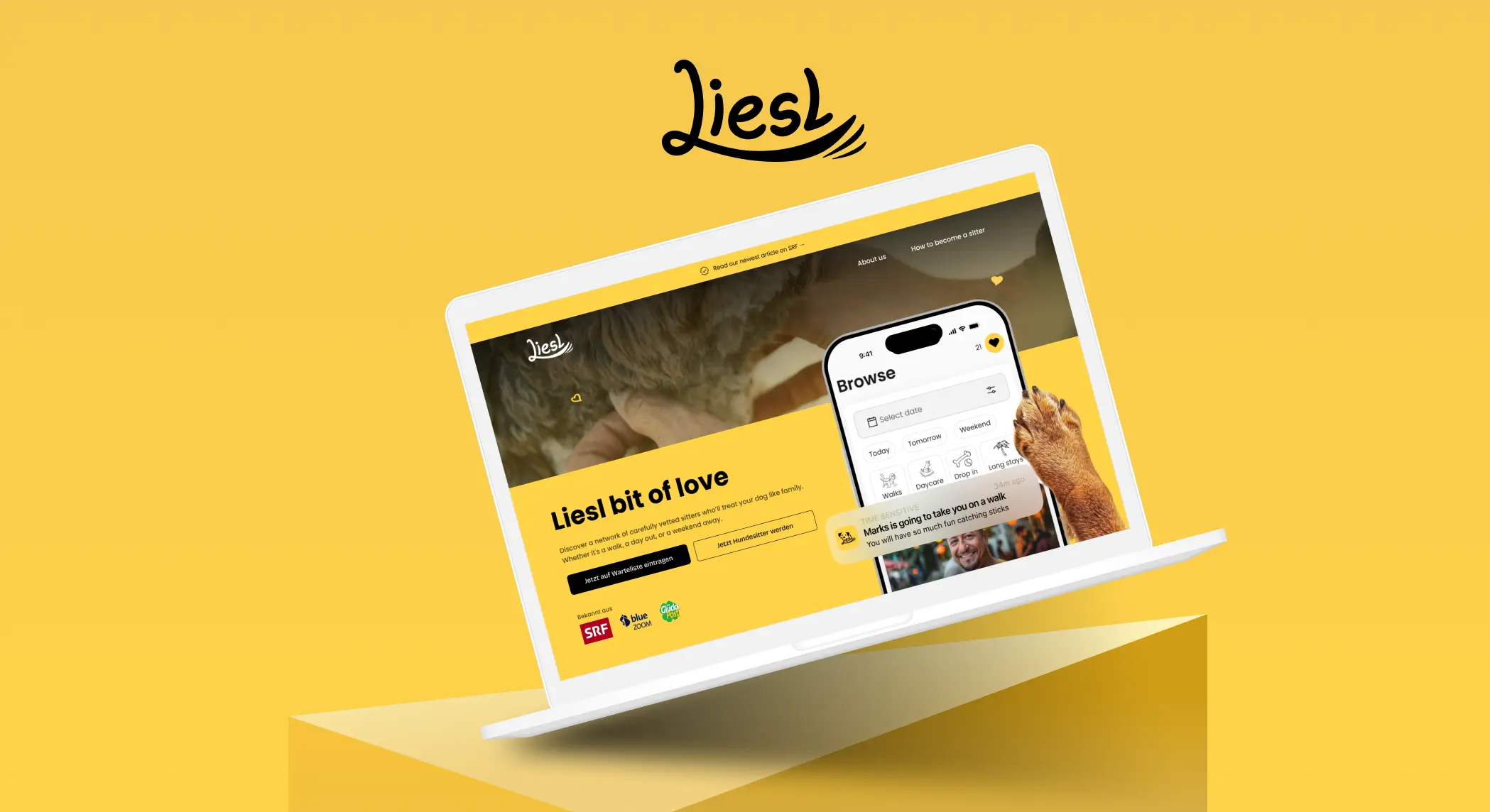 Laptop-Screen mit der Liesl-Website darauf