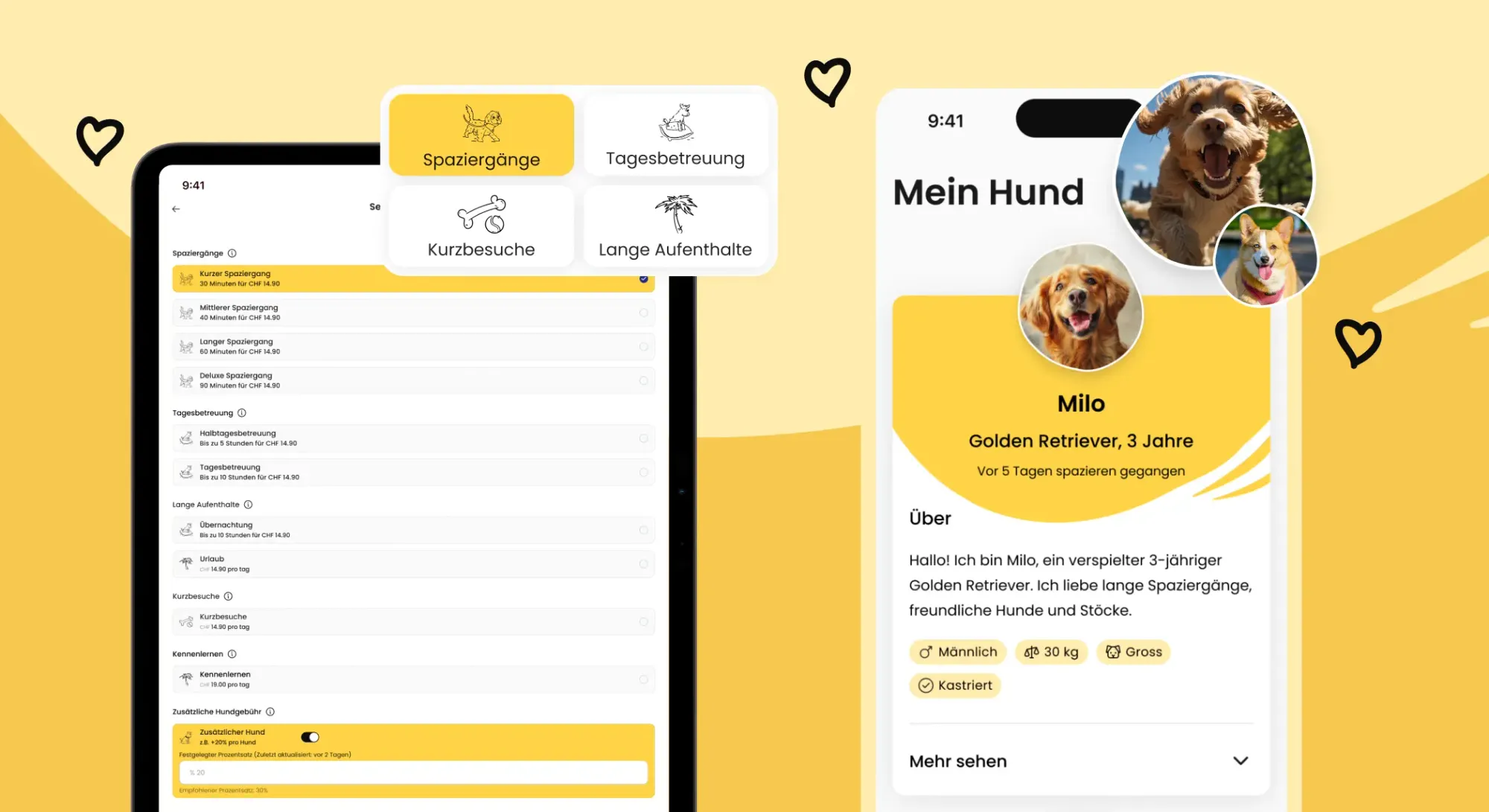 Tablet and mobile screens showcasing the Liesl app