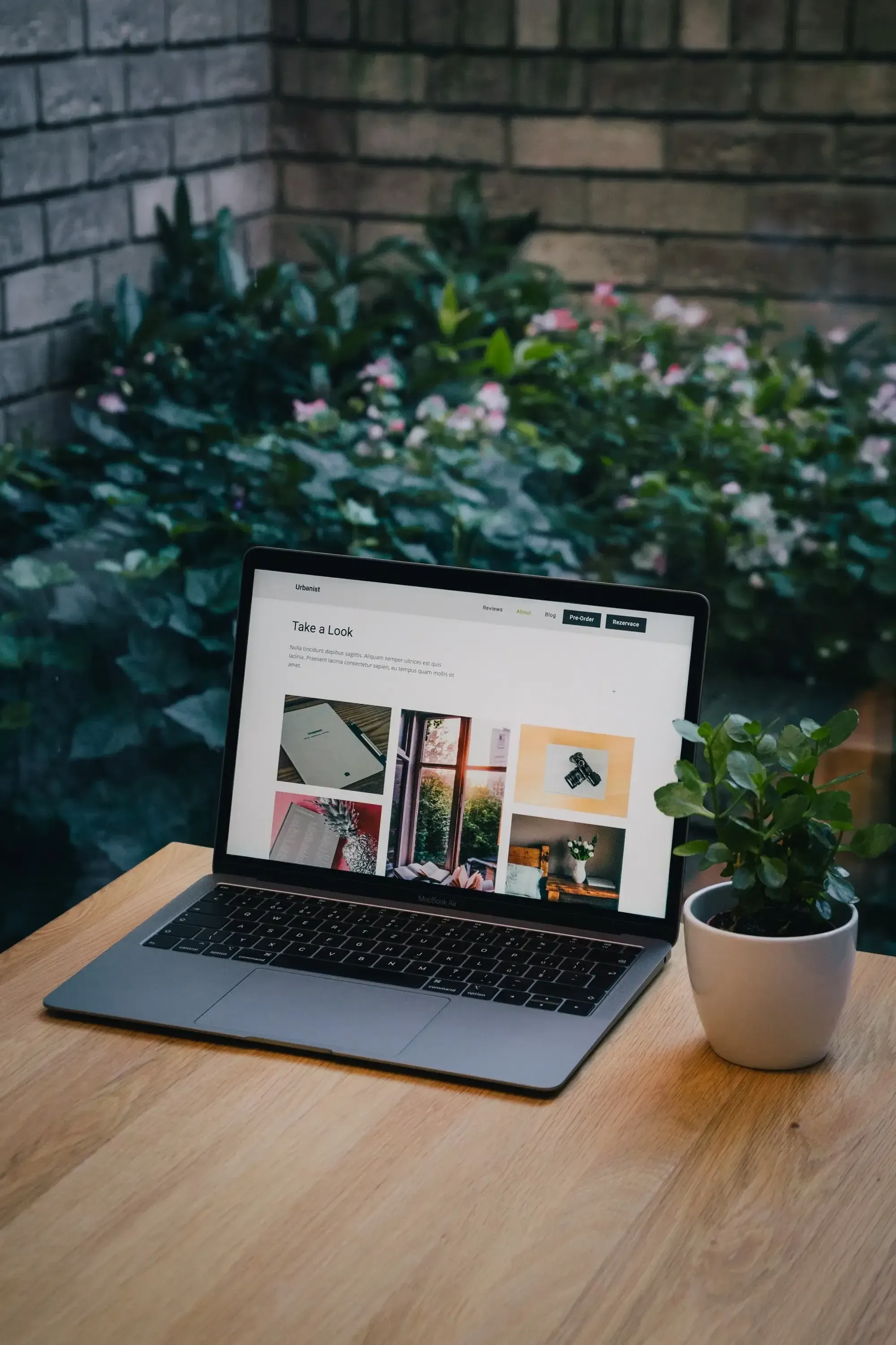 Laptop on a wooden table, next to a potted plant, in a garden, showing a website.