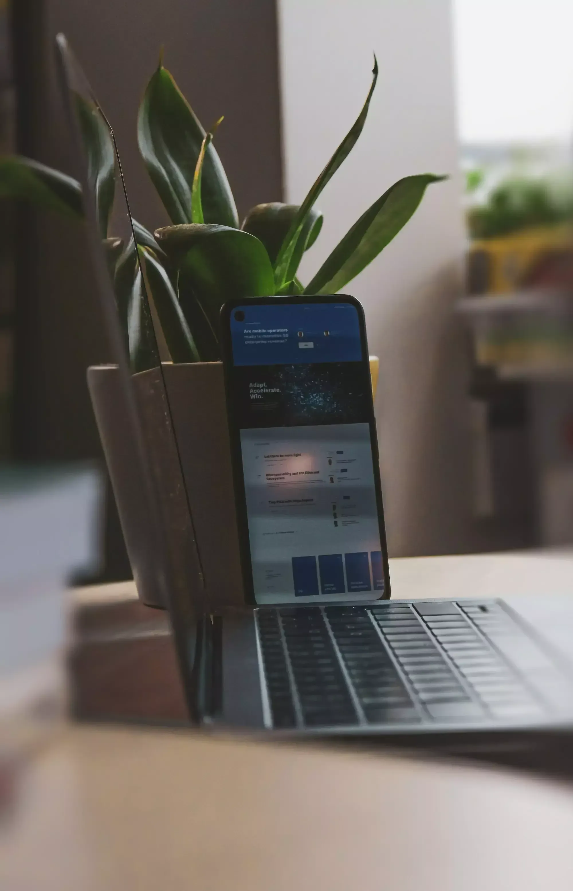 Laptop auf Tisch, daneben lehnt ein iPhone an einer Topfpflanze.