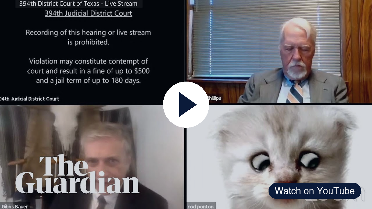 Zoom court hearing clip thumbnail with a play button — opens the 'I'm not a cat' video on YouTube