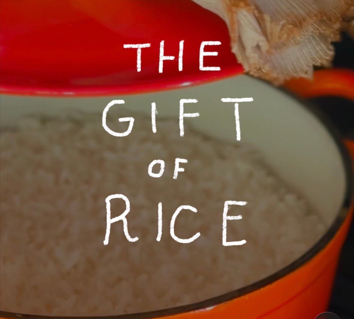 The gift of rice