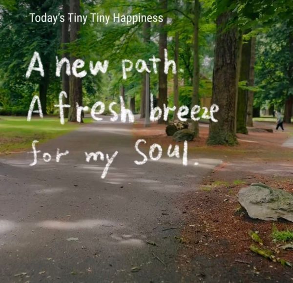 A new path. A fresh breeze for my soul.