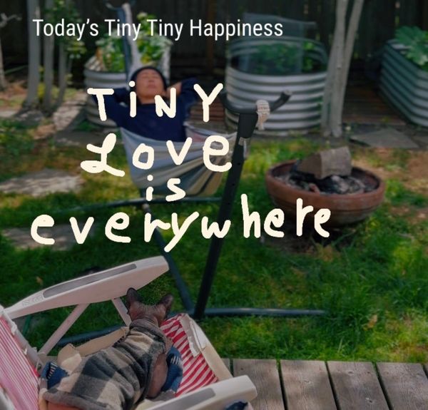Tiny love is everywhere