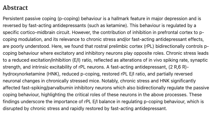 Spotlight "Prefrontal contribution to passive coping behaviour in chronic stress and treatment by fast-acting antidepressant" (Fong, et al, 2025)