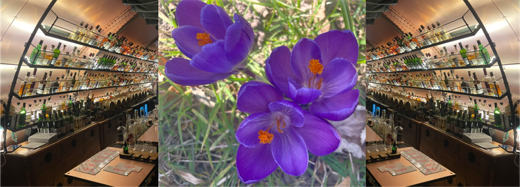 My latest fascination