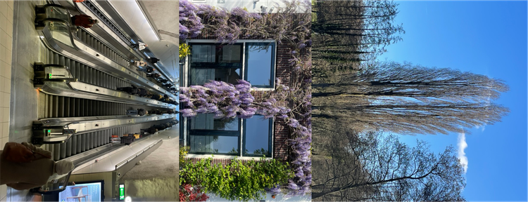 Zero Stimulation Rest