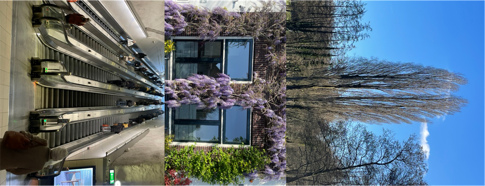 Zero Stimulation Rest