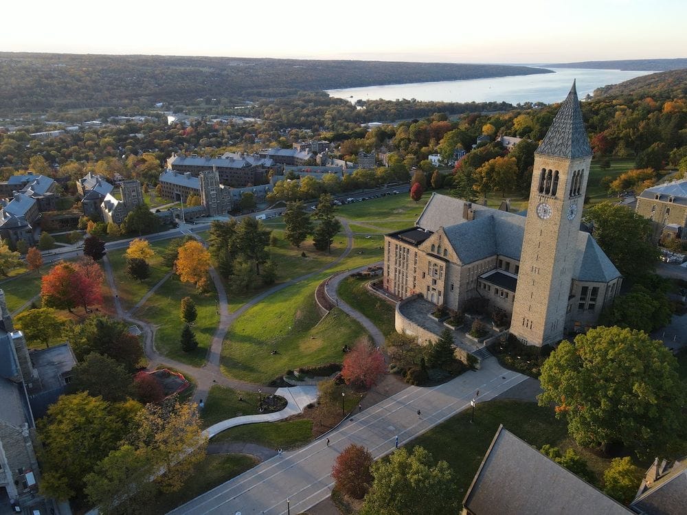 Cornell-University