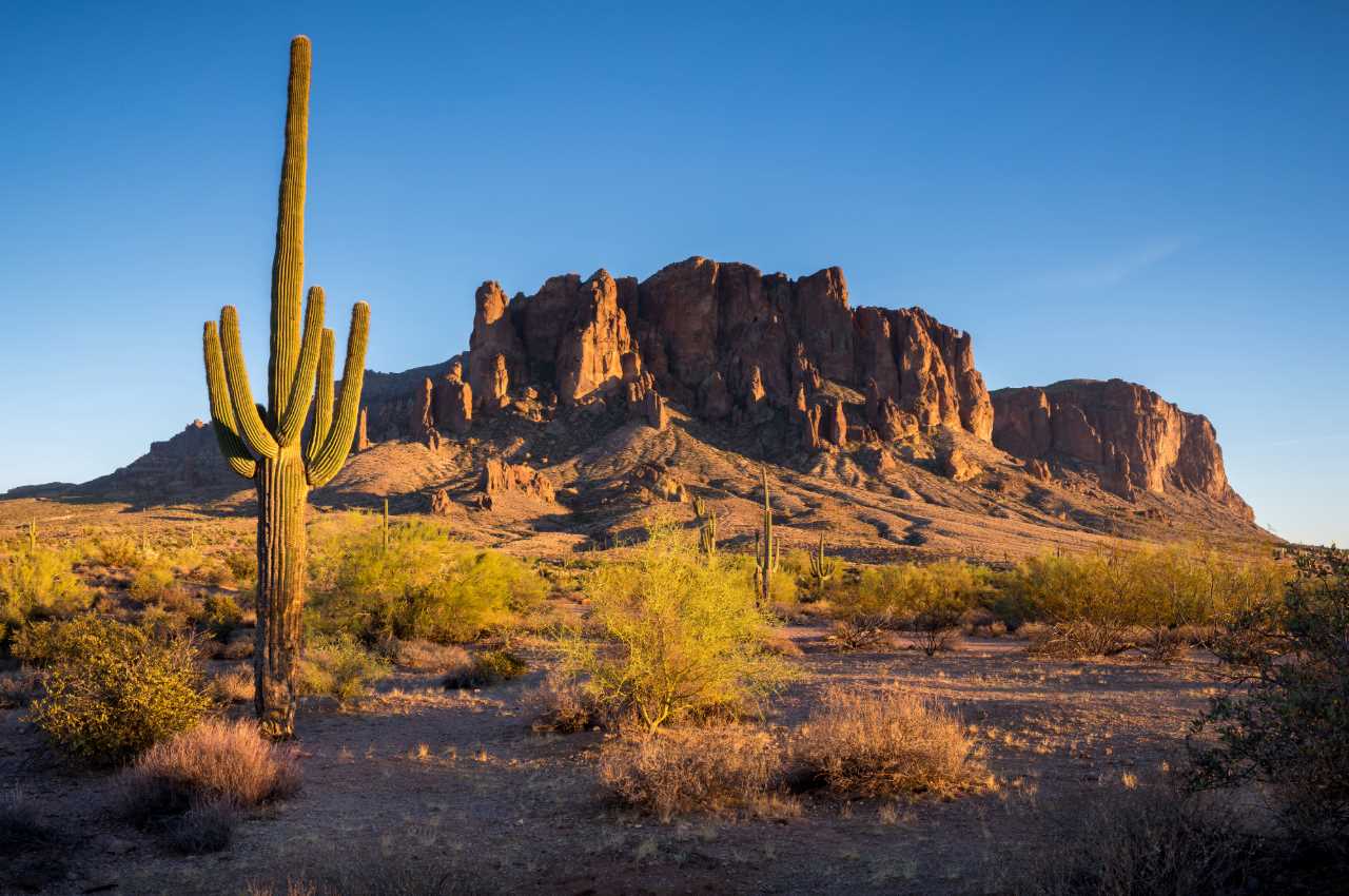 colleges for business in arizona view of arizona dessert