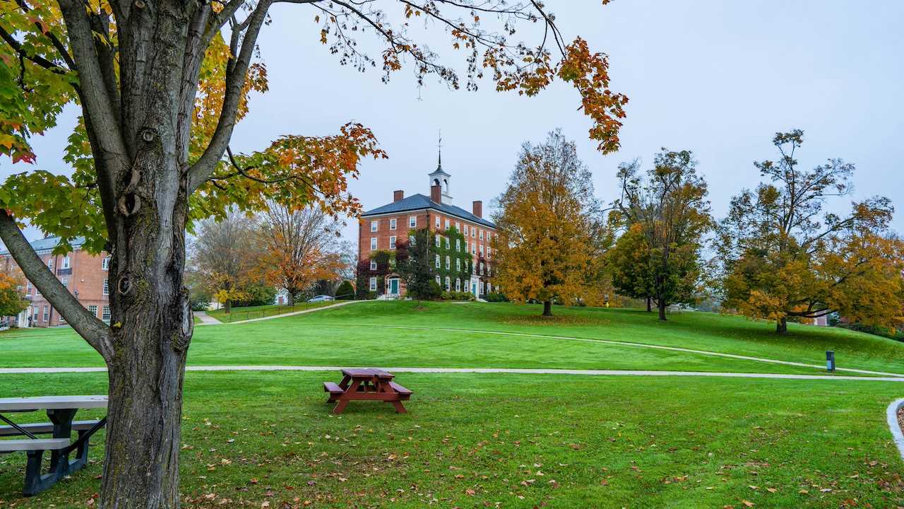 tufts university 