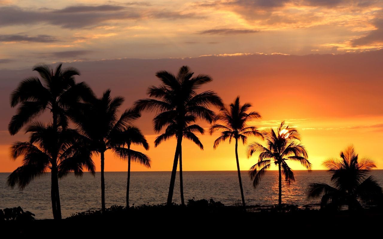 best colleges hawaii