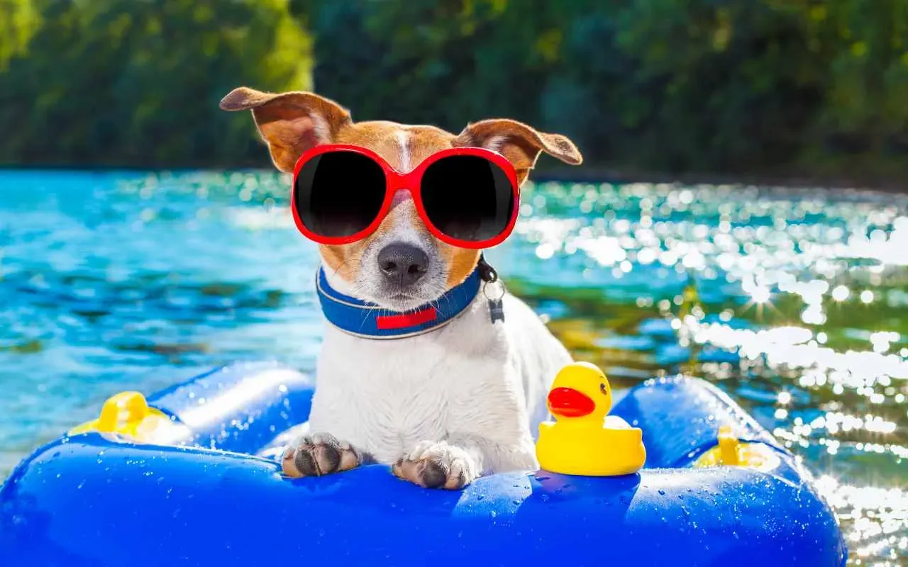 summer break in different areas