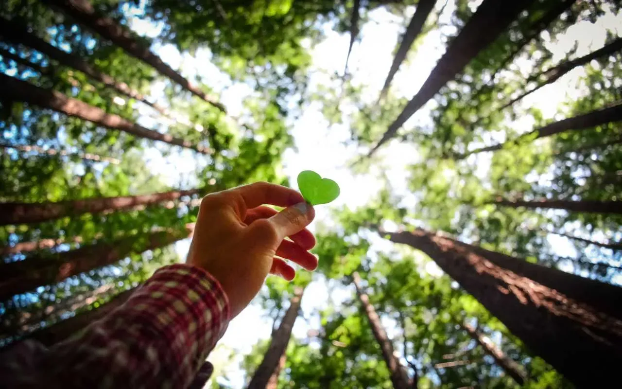 honoring a loved one