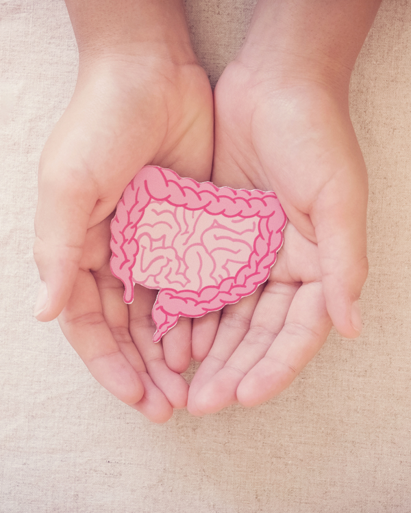 Microbiota intestinal y metabolismo: el eje olvidado de tu salud