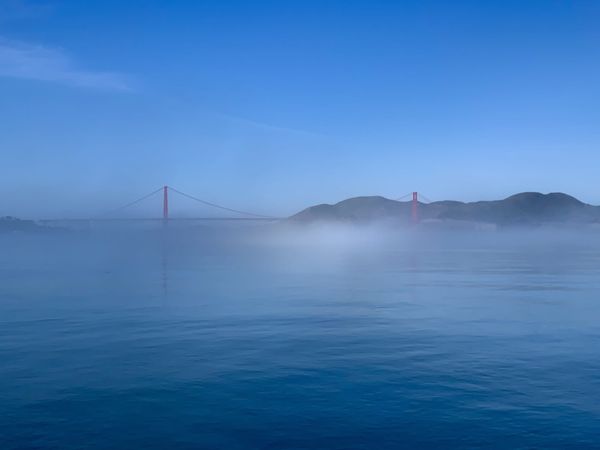 San Francisco is an infinite source of inspiration