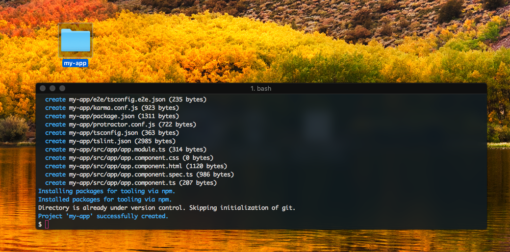 Angular CLI generated project folder and terminal output