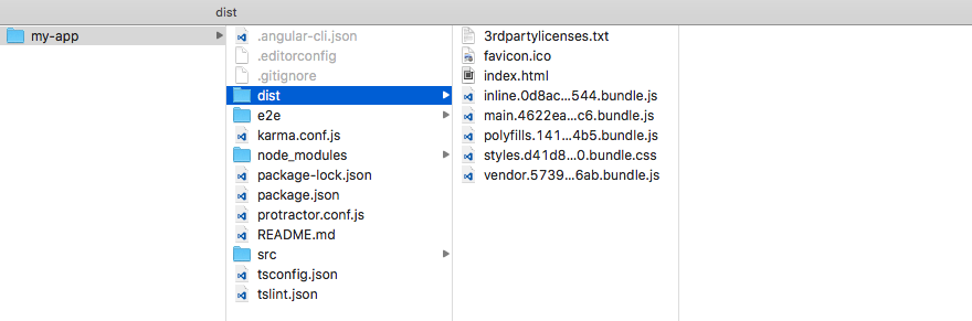 Angular CLI dist folder created with build process