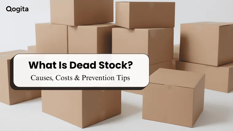 Dead Stock Inventory: What It Is and How You Can Prevent It?