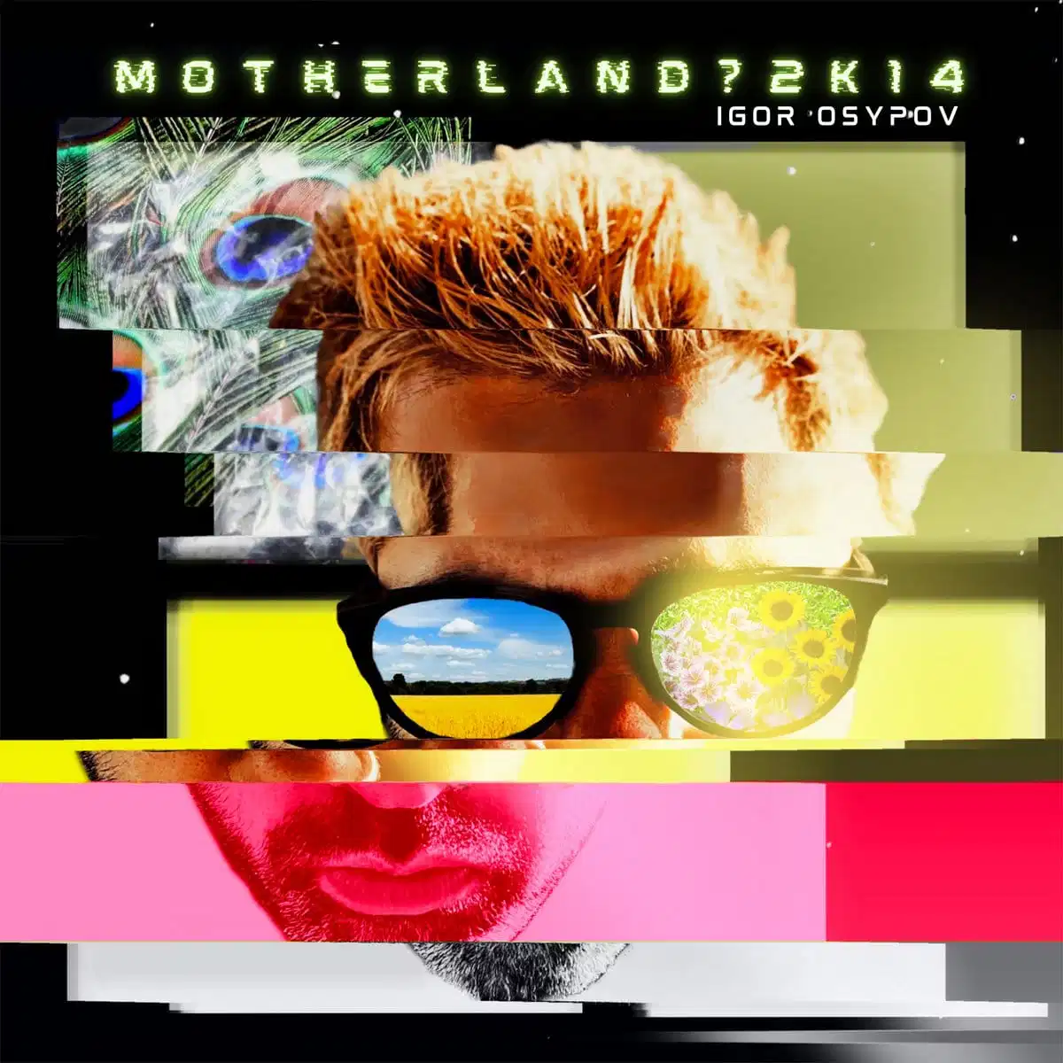 Portada del disco Motherland?2K14 