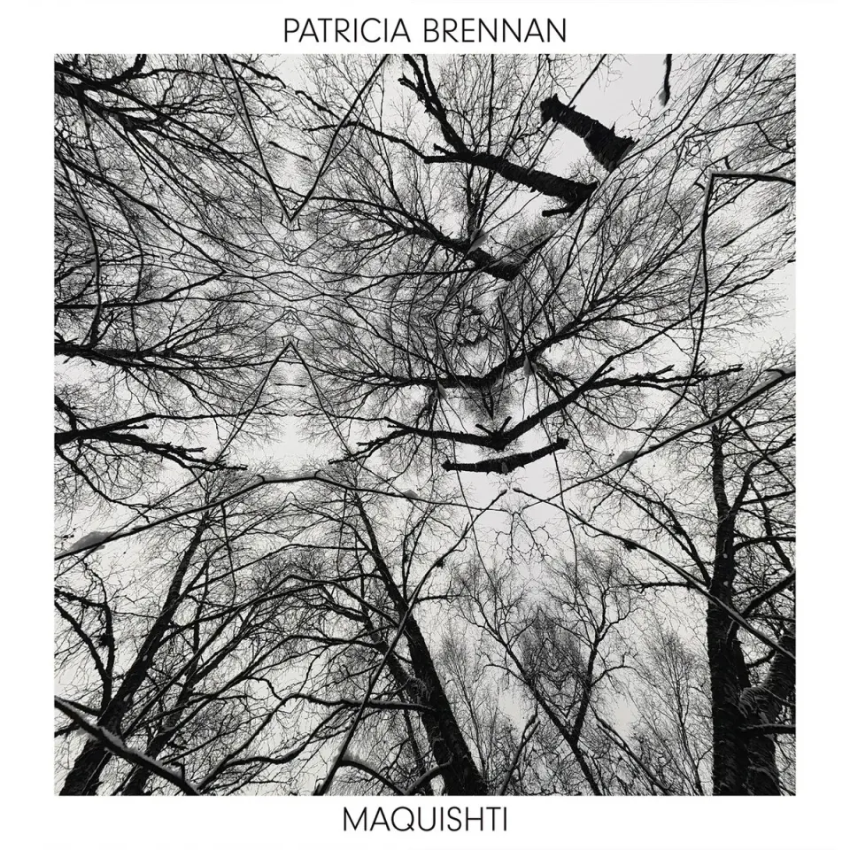 Maquishti – Patricia Brennan