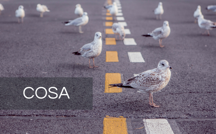 Customer Oriented Sentiment Analysis