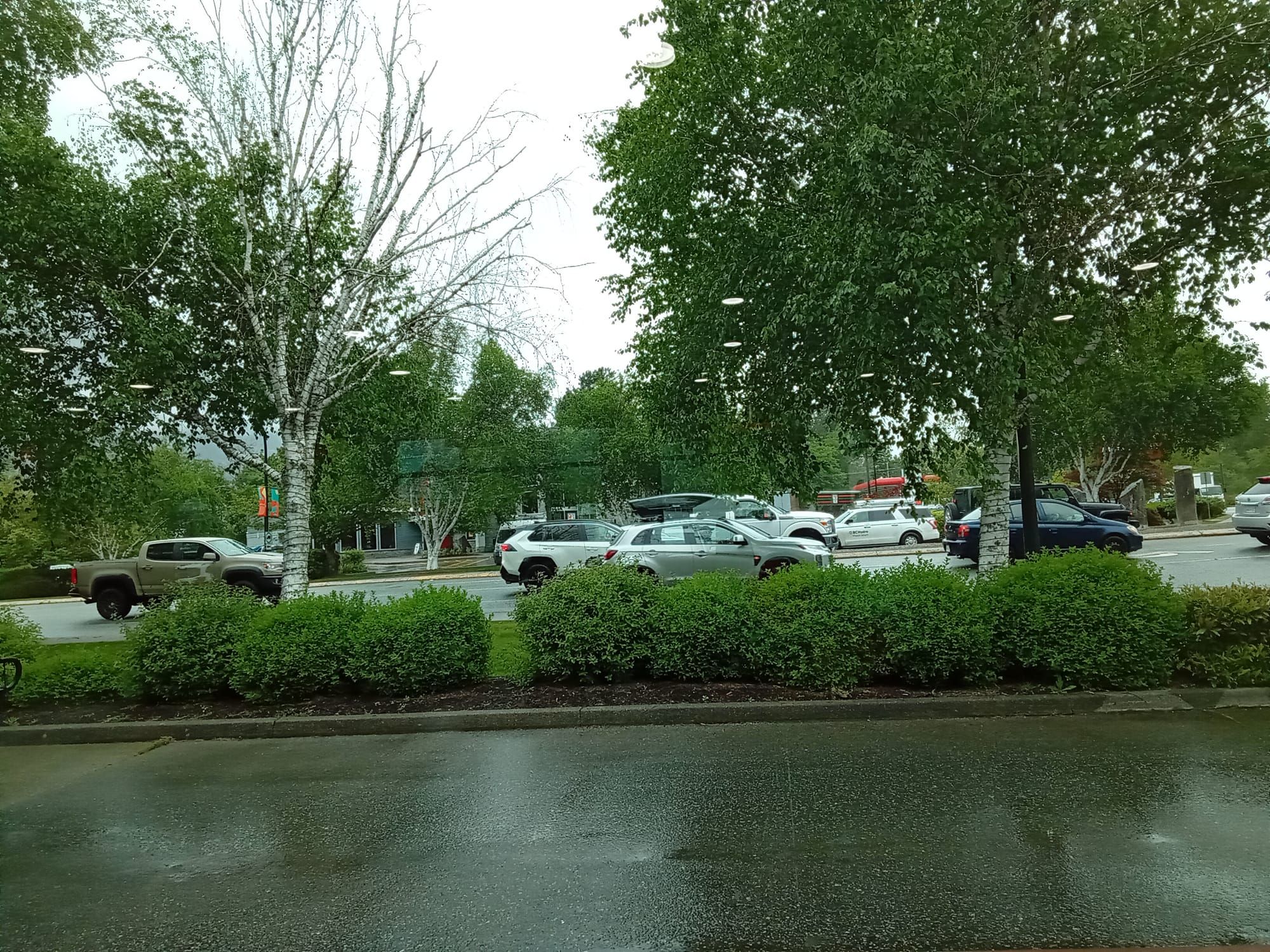 probative() - A Janice Blog 