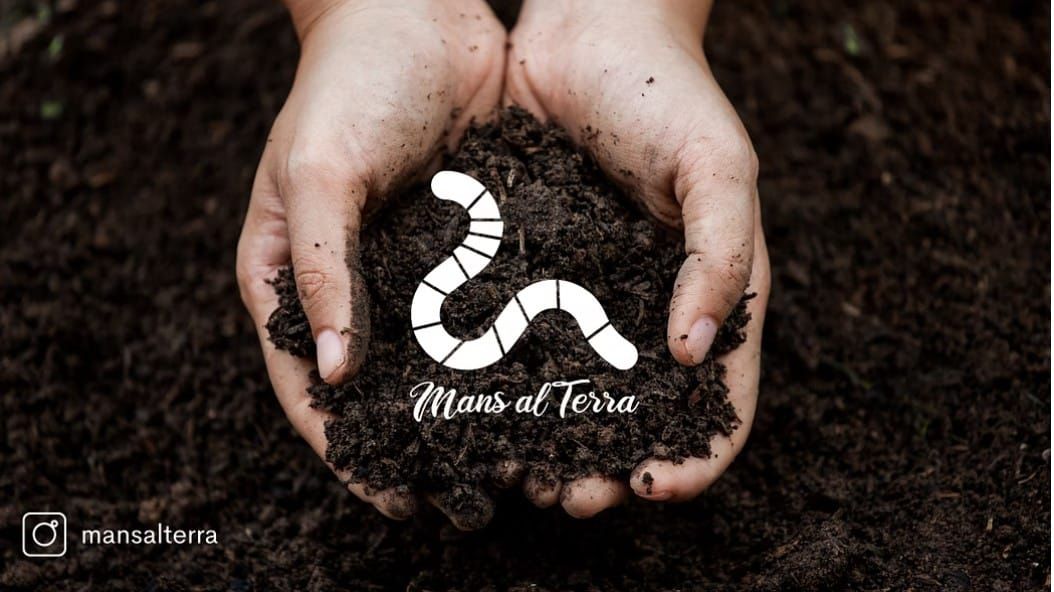 Salvador Pérez (Brote Silvestre & Aiden Cinnamon Tea) - Cuando la tierra pregunta / When the Earth asks