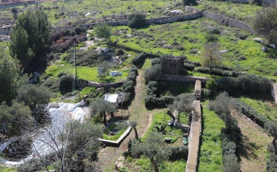 A refuge for nature, beauty and food sovereignty in Palestine