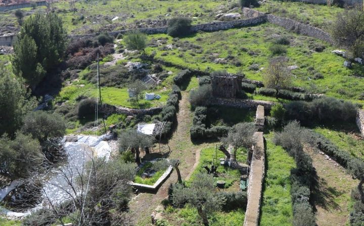 A refuge for nature, beauty and food sovereignty in Palestine
