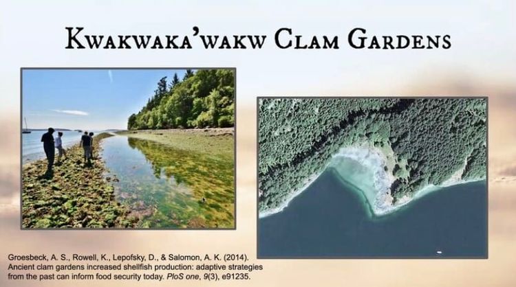 Pete Jeffs - Reflection on Kwakwaka'wakw Clam Gardens