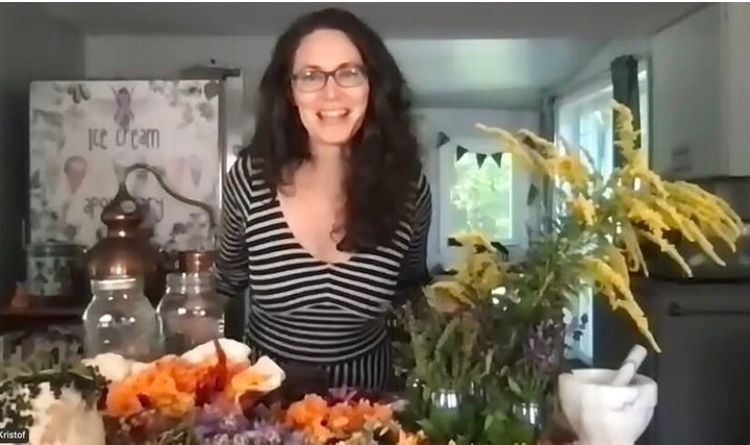 Karen Lemke - Art as Relationship to Food, Who Feels Beautiful in a Jar Together?