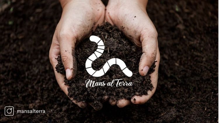 Salvador Pérez (Brote Silvestre & Aiden Cinnamon Tea) - Cuando la tierra pregunta / When the Earth asks