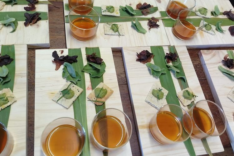 A Field Kitchen for Slow Disasters - healing food landscapes in the Cape Floristic Region of South Africa